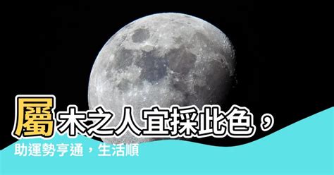 屬木人|屬木的人應該注意什麼 